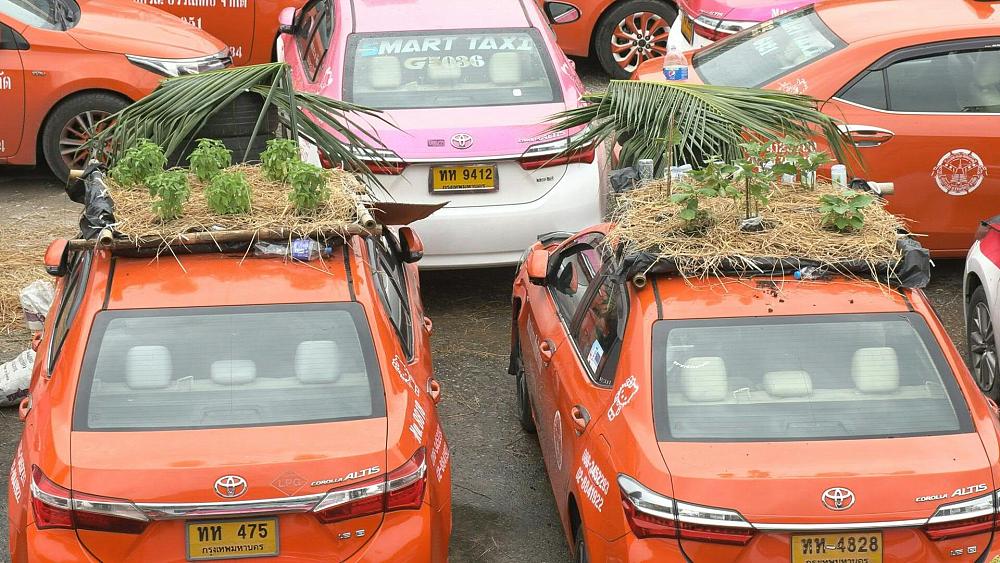Bangkok’s taxi graveyard brought back to life with mini-gardens.jpg