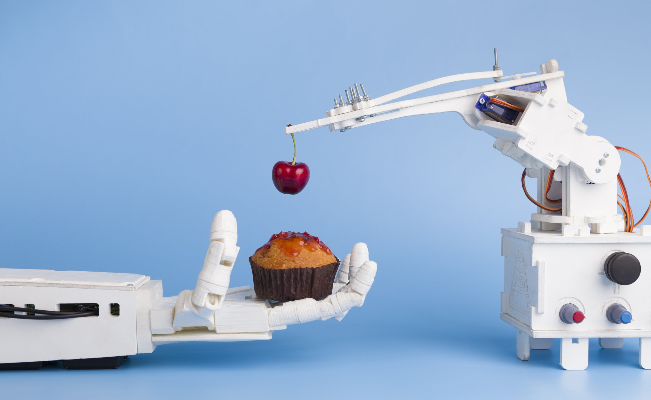 Robots extend reach in the food industry.jpg