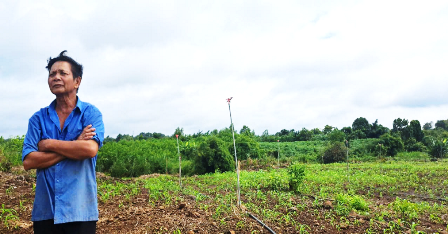 chi hội trưởng nd ấp 7 thăm đồng bắp.png